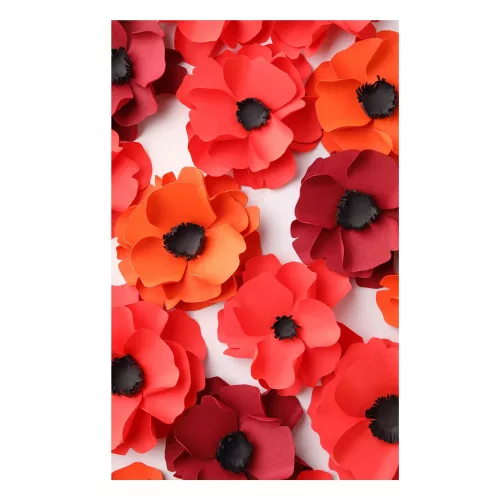 Toalla Amapolas 90x160cm en tejido de terciopelo